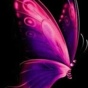 Meet your Posher, Judi